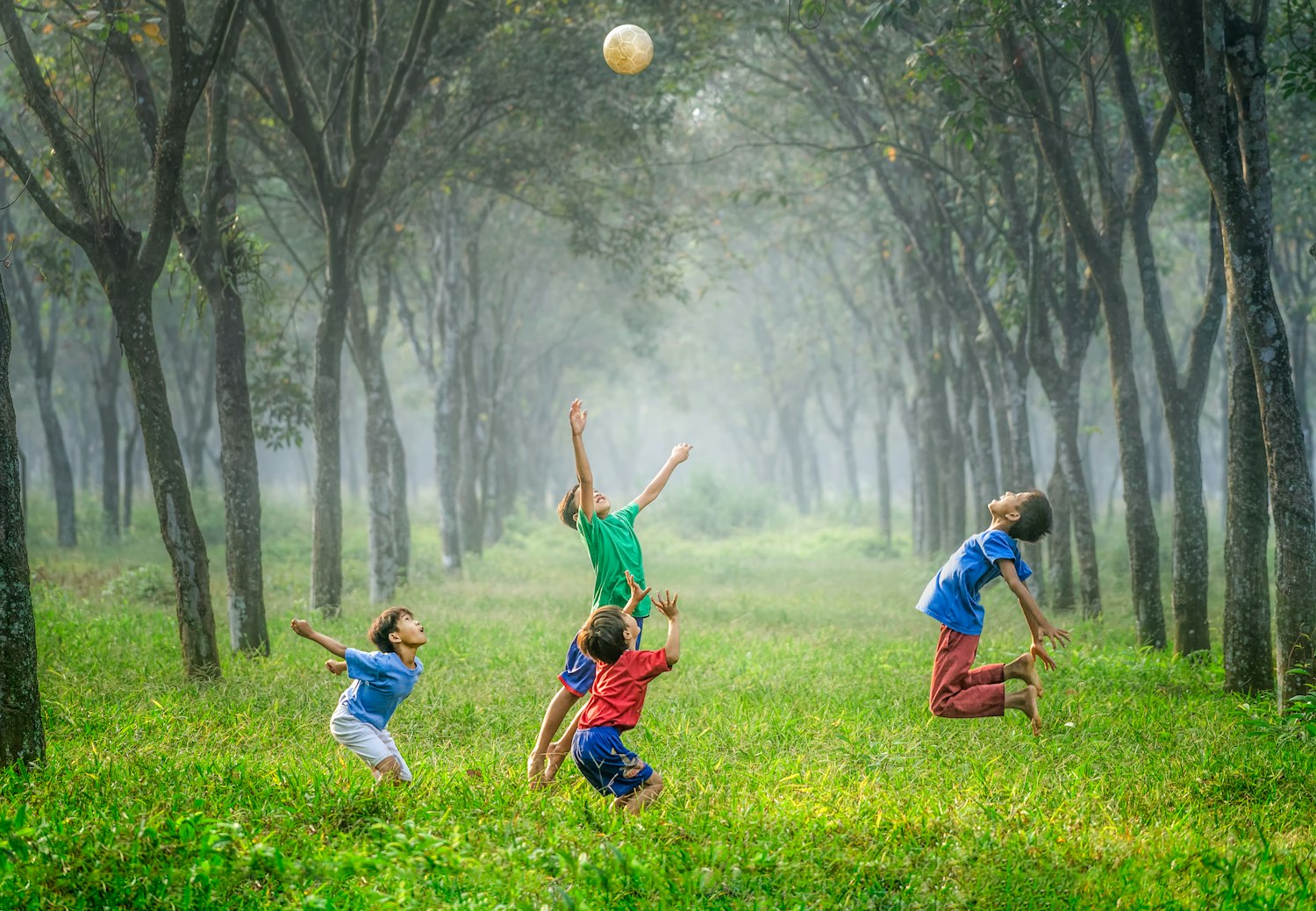 Big Feelings and Big Behaviours: How Attention Shapes What Children Do